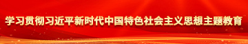 美女草逼啊啊学习贯彻习近平新时代中国特色社会主义思想主题教育